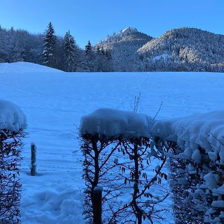 Appartement 2 Pieces Pieds Des Pistes Terrasse Face A La Montagne Bernex Luaran gambar