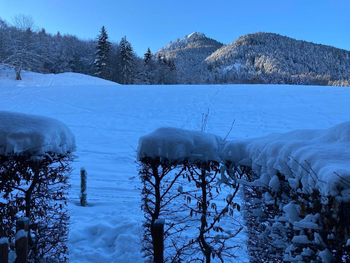 Appartement 2 Pieces Pieds Des Pistes Terrasse Face A La Montagne Bernex Luaran gambar