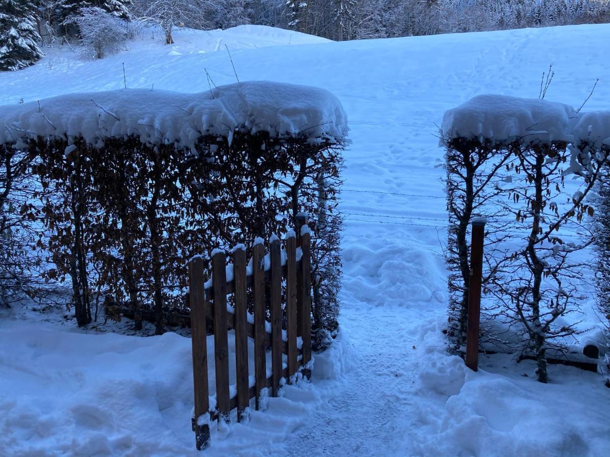 Appartement 2 Pieces Pieds Des Pistes Terrasse Face A La Montagne Bernex Luaran gambar